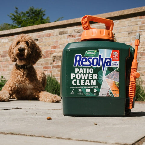 Resolva Garden Cleaning Westland Resolva Xtra Clean Ready to Use Patio Power Clean Power Pump 5L