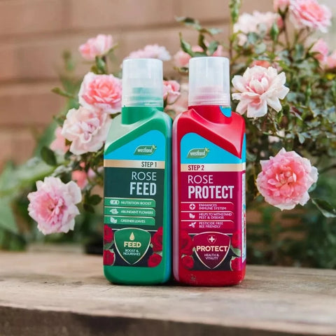 Westland Horticulture Rose Feed Westland Rose 2 in 1 Feed & Protect 2 x 500ml