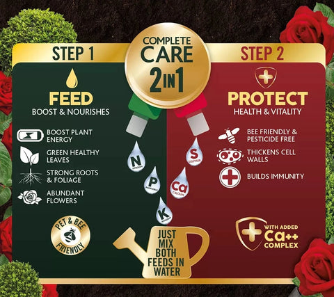 Westland Horticulture Rose Feed Westland Rose 2 in 1 Feed & Protect 2 x 500ml