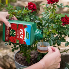 Westland Horticulture Rose Feed Westland Rose High Performance Liquid Plant Food 1 Litre