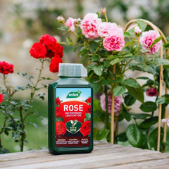 Westland Horticulture Rose Feed Westland Rose High Performance Liquid Plant Food 1 Litre