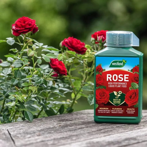 Westland Horticulture Rose Feed Westland Rose High Performance Liquid Plant Food 1 Litre