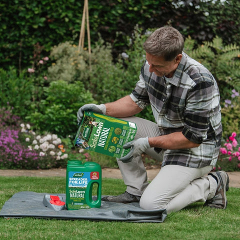 Westland Horticulture Lawn Feed Westland Safe Lawn 150m² Box