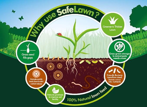 Westland Horticulture Lawn Feed Westland SafeLawn 400m² Bag