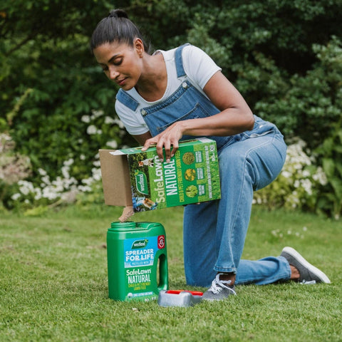 Westland Horticulture Lawn Feed Westland SafeLawn 80m² Box