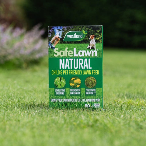 Westland Horticulture Lawn Feed Westland SafeLawn 80m² Box