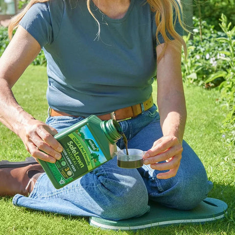 Westland Horticulture Lawn Feed Westland SafeLawn Liquid Lawn Feed 1L