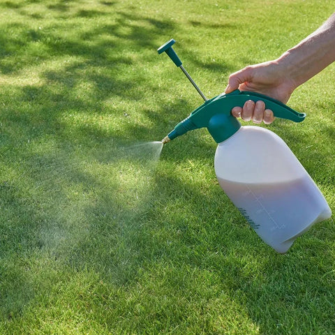 Westland Horticulture Lawn Feed Westland SafeLawn Liquid Lawn Feed 1L