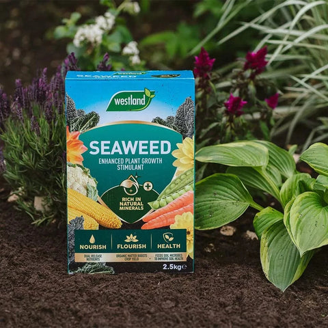 Westland Seaweed Enhanced Plant Growth Stimulant 2.5kg