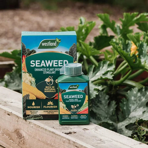 Westland Seaweed Enhanced Plant Growth Stimulant 2.5kg