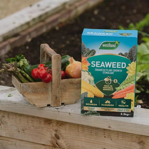 Westland Seaweed Enhanced Plant Growth Stimulant 2.5kg