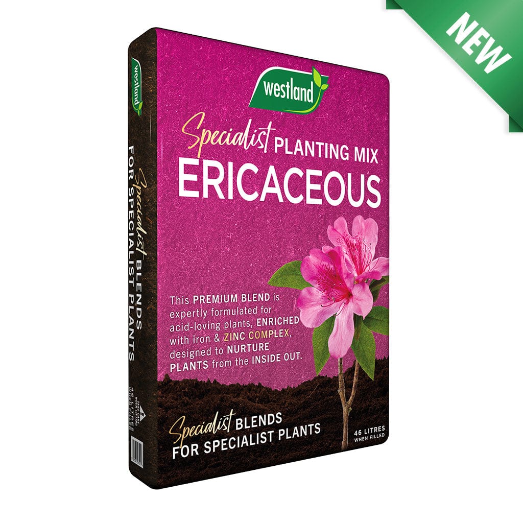 Westland Horticulture Compost Westland Specialist Ericaceous Planting Mix 46L