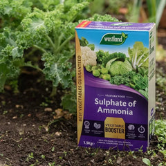 Westland Horticulture Sulphate of Ammonia Westland Sulphate of Ammonia 1.5kg