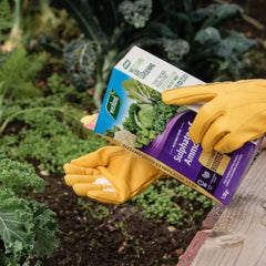 Westland Horticulture Sulphate of Ammonia Westland Sulphate of Ammonia 1.5kg