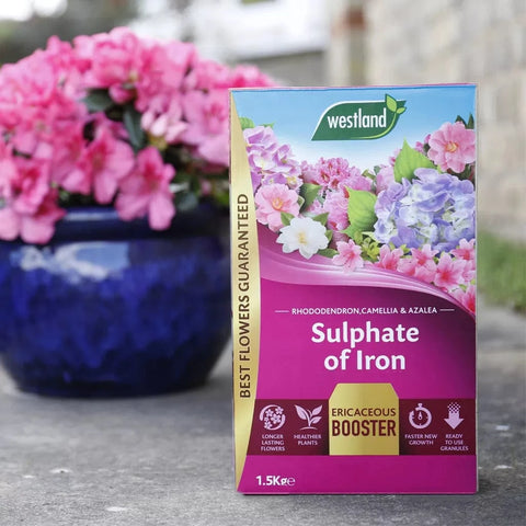 Westland Horticulture Sulphate of Iron Westland Sulphate of Iron 1.5kg