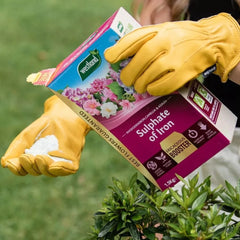 Westland Horticulture Sulphate of Iron Westland Sulphate of Iron 1.5kg