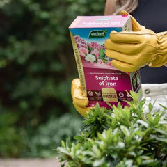 Westland Horticulture Sulphate of Iron Westland Sulphate of Iron 1.5kg