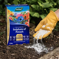 Westland Horticulture Garden Plant Feeds Westland Sulphate of Potash 1.5kg