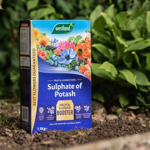 Westland Horticulture Garden Plant Feeds Westland Sulphate of Potash 1.5kg