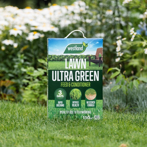 Westland Horticulture Lawn Feed Westland Ultra Green 150m² Box