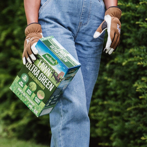 Westland Horticulture Lawn Feed Westland Ultra Green 80m² Box