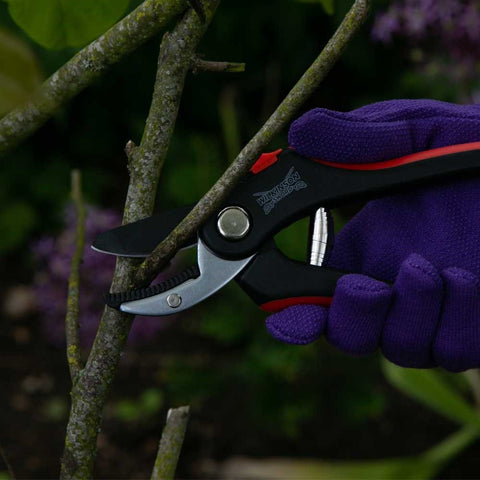 Wilkinson Sword Deluxe Pruner Twin pack Boxed