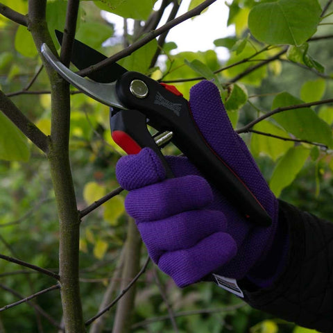 Wilkinson Sword Deluxe Pruner Twin pack Boxed