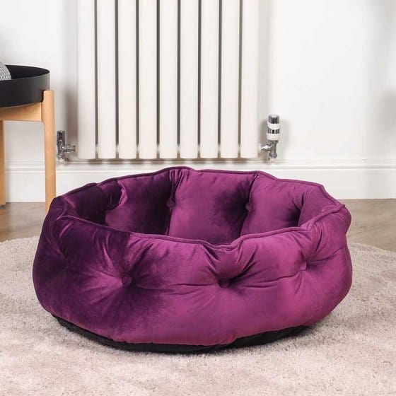 Zoon Cat Beds & Mattresses Zoon Button Tufted Mulberry Donut Bed