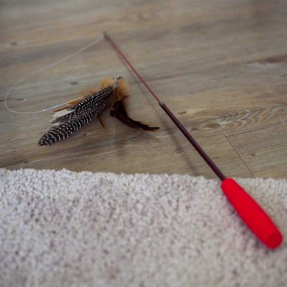 Zoon Cat Toy NipIt Telescopic Tickle Stick Trowell Garden Centre