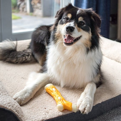 Zoon Dog Toys Zoon Dog Toy Chew Chicken Flavour Nylon TuffStick Small