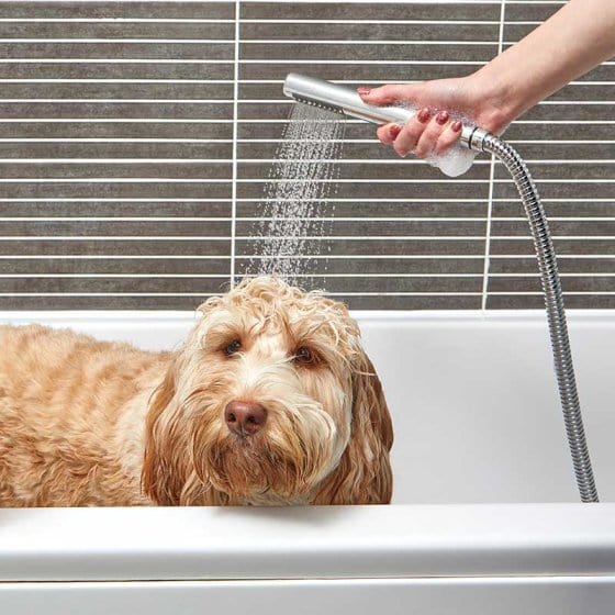 Zoon Dog Grooming Zoon Flea and Tick Dog Shampoo 300ml