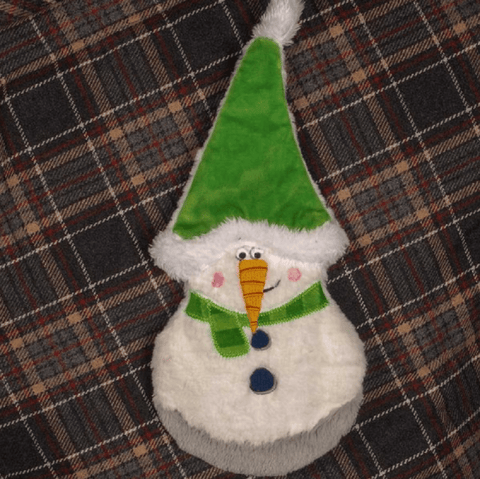 Zoon Dog Toys Zoon Frosty PlayPal Dog Toy