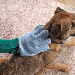 Zoon Pet Accessories Zoon Grooming Glove