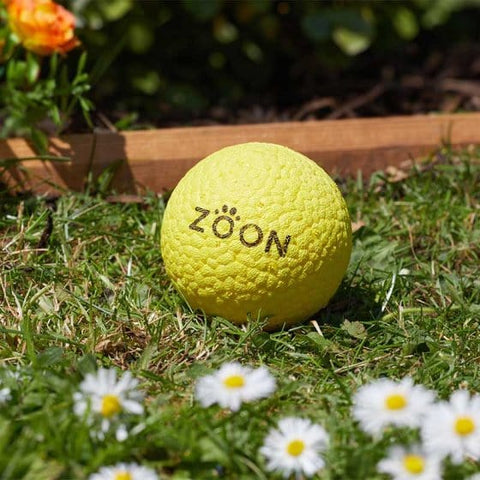 Zoon Dog Toys Zoon Indestruct-a-Ball
