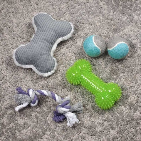 Zoon Dog Toys Zoon My Dog's Play Pack