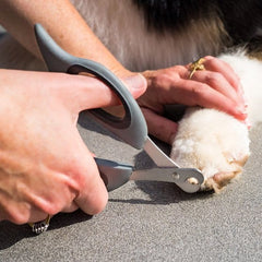 Zoon Pet Accessories Zoon Pet Claw Scissors (no sku)
