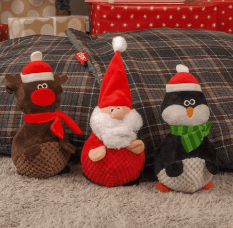 Zoon Dog Toys Zoon SuperBouncy Puppa Dog Toy