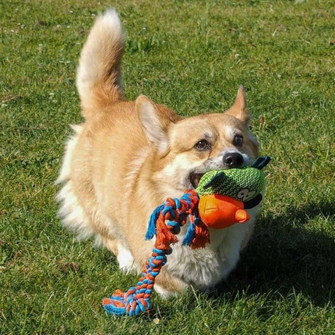 Zoon Dog Toys Zoon Tough Fabric Dog Toy Dura-Tugga Monkey