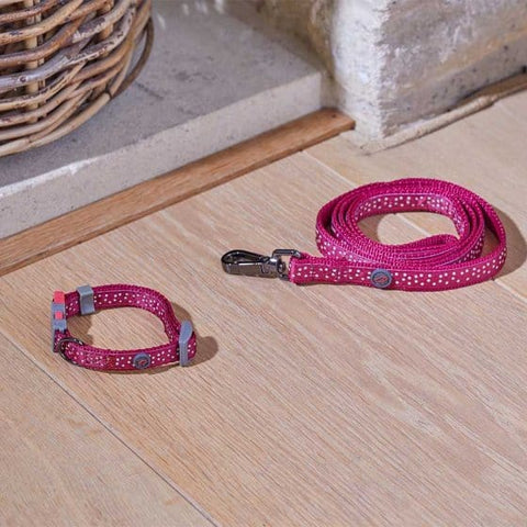 Zoon Dog Collars & Leads Zoon WalkAbout Dog Collar Burgundy Polka Small