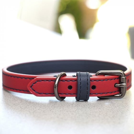 Ruby Dog Color Zoon WalkAbout Dog Collar LuxeLeather Ruby Large – Trowell Garden Centre