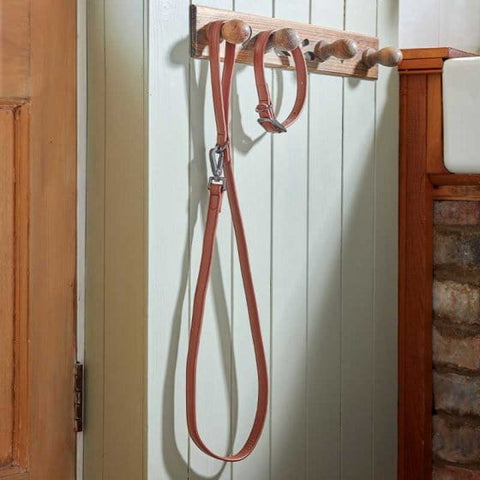 Zoon Dog Collars & Leads Zoon WalkAbout Dog Collar LuxeLeather Tan Small