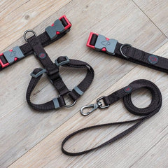 Zoon Dog Collars & Leads Zoon WalkAbout Dog Lead Jet