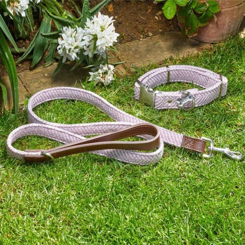 Zoon Dog Collars & Leads Zoon WalkAbout Premium Country Dog Lead Blush Small