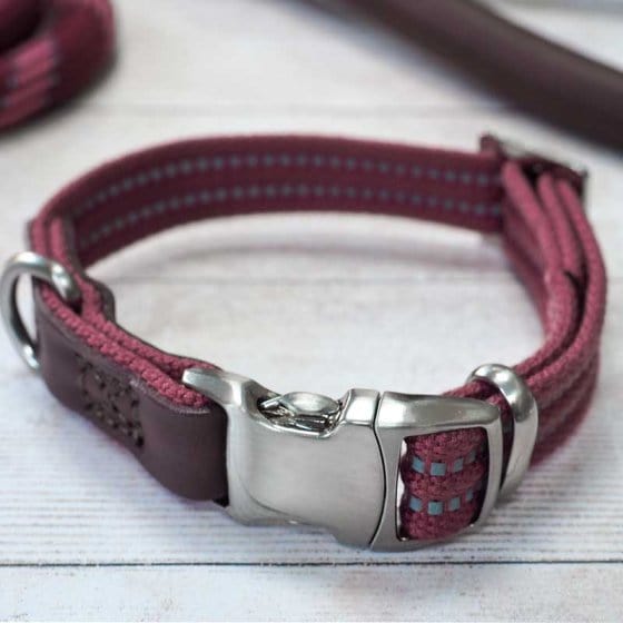 Zoon Dog Collars & Leads Zoon WalkAbout Primo Dog Collar Burgundy X Small