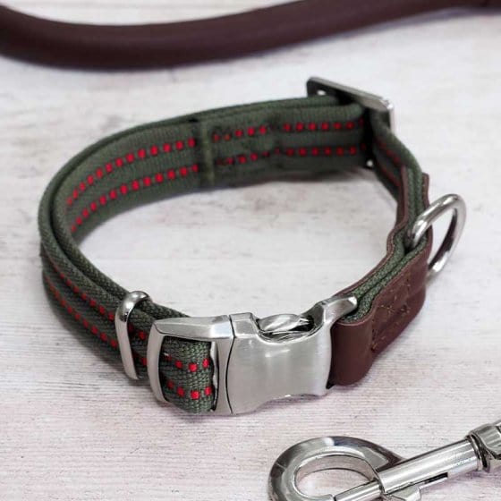 Zoon Dog Collars & Leads Zoon WalkAbout Primo Dog Collar Olive Small