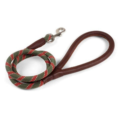 Zoon Dog Collars & Leads Zoon WalkAbout Primo Dog Lead Olive (no sku)