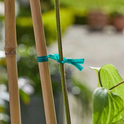 Smart Garden Gardening Accessories 15cmTwisty Ties 100 pack