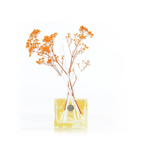 Ashleigh and Burwood Reed Diffuser Ashleigh & Burwood Orange Blossom and Mandarin Diffuser