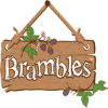 Brambles Hedgehog Food Brambles Crunchy Hedgehog Food 900g