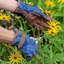 Burgon & Ball Gardening Gloves Burgon & Ball Oak Leaf Gardening Gloves Navy